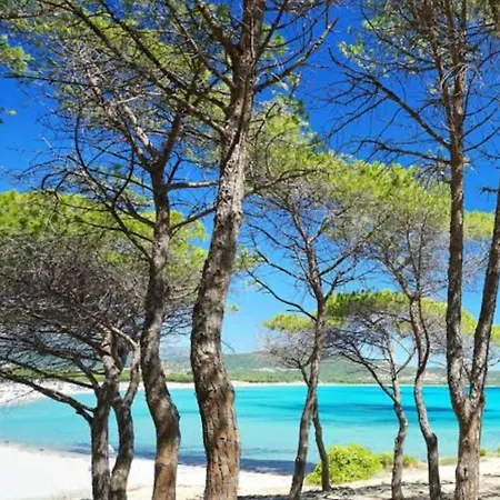 Alma're Le Trame Di Kasa Experience Lägenhet *
